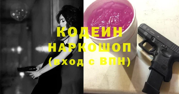 2c-b Бородино
