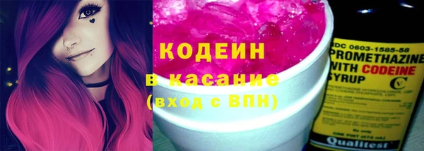 2c-b Бородино