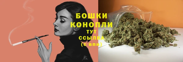 2c-b Бородино