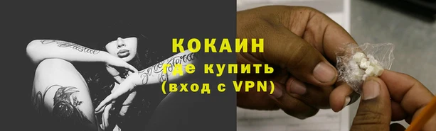 2c-b Бородино